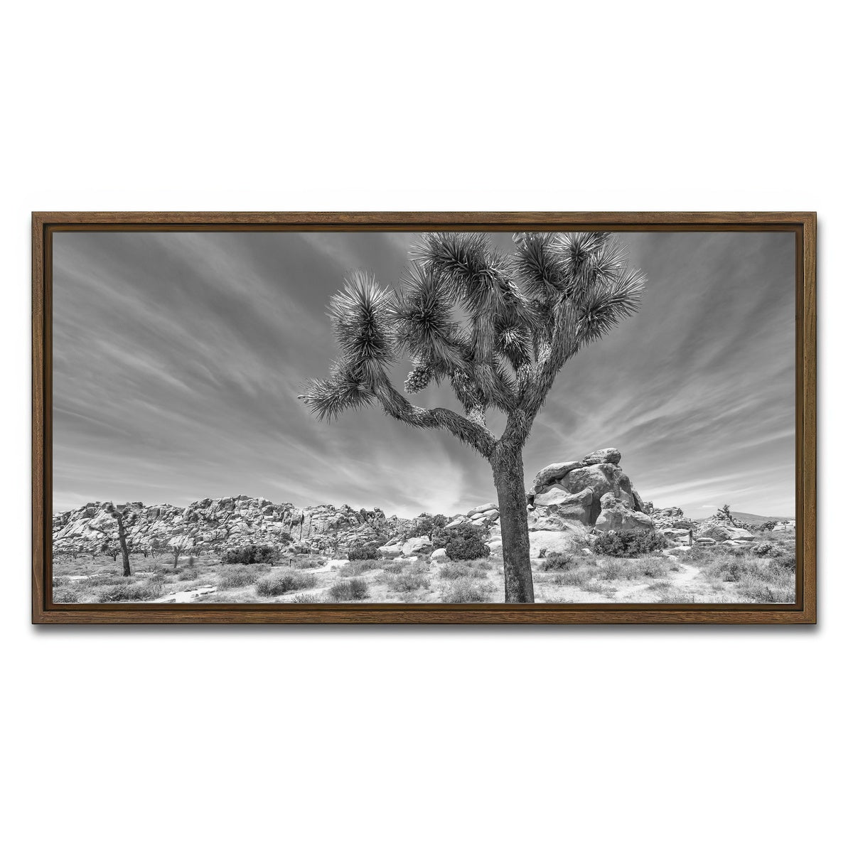 AUTO-MOCKUP WHITE | Joshua Tree National Park Inspirational Monochrome | 1 Piece | Walnut Framed Canvas | group=2x1