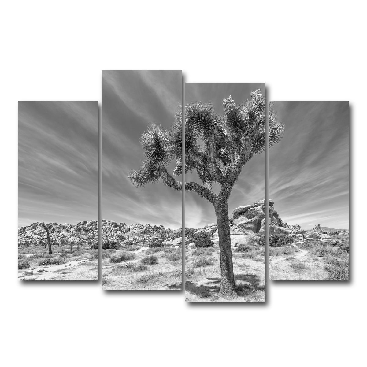 AUTO-MOCKUP WHITE | Joshua Tree National Park Inspirational Monochrome | 4 Piece | Gallery Wrap Canvas | group=4_normal