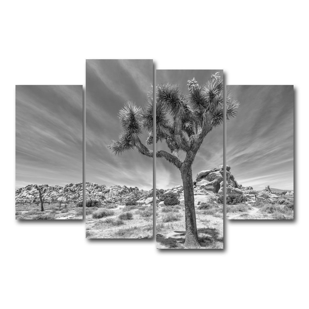 AUTO-MOCKUP WHITE | Joshua Tree National Park Inspirational Monochrome | 4 Piece | Gallery Wrap Canvas | group=4_short