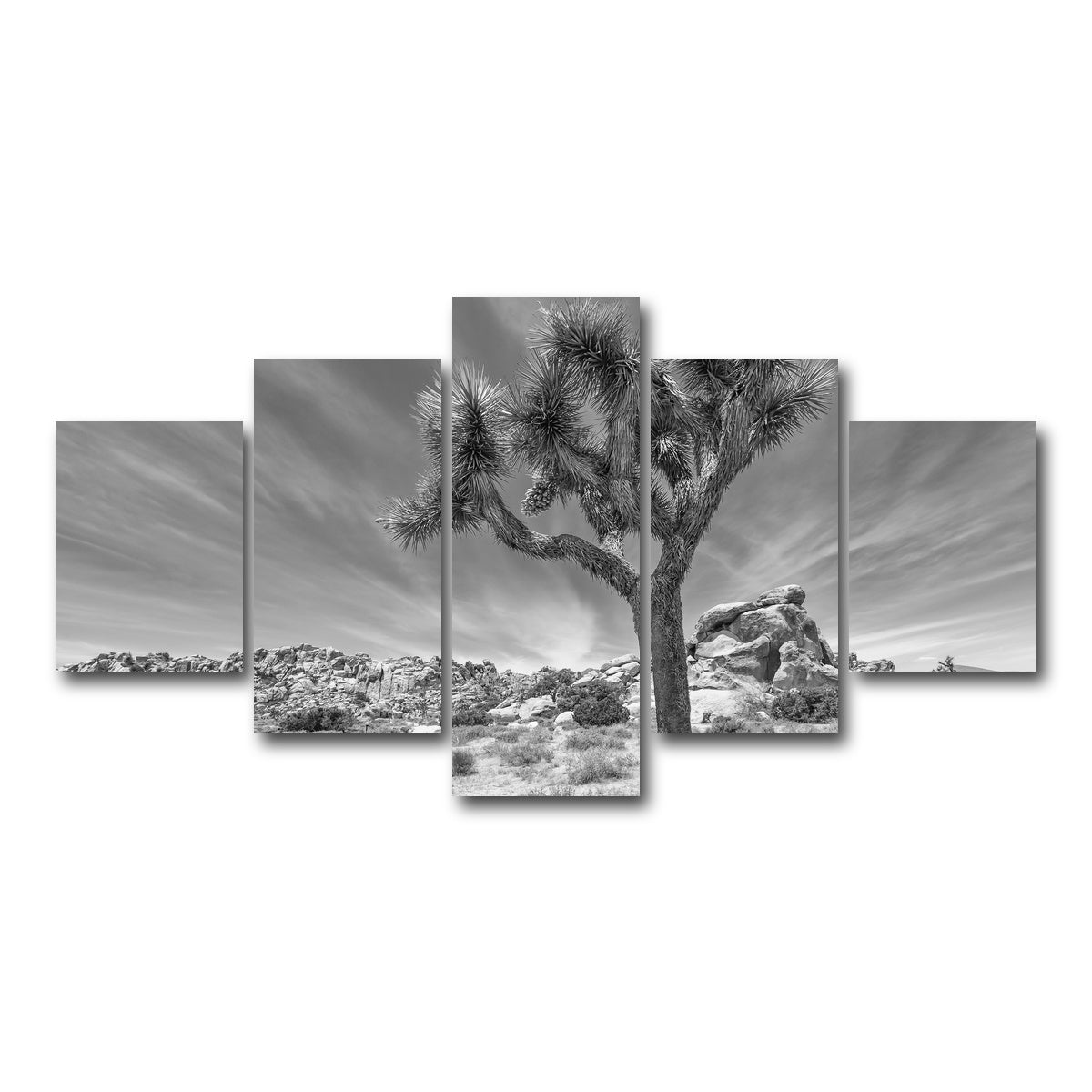 AUTO-MOCKUP WHITE | Joshua Tree National Park Inspirational Monochrome | 5 Piece | Gallery Wrap Canvas | group=5_short