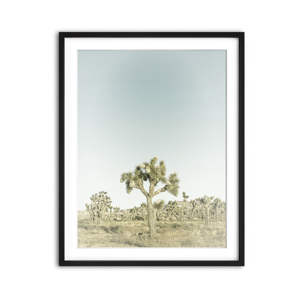Framed Print 3x4 Black