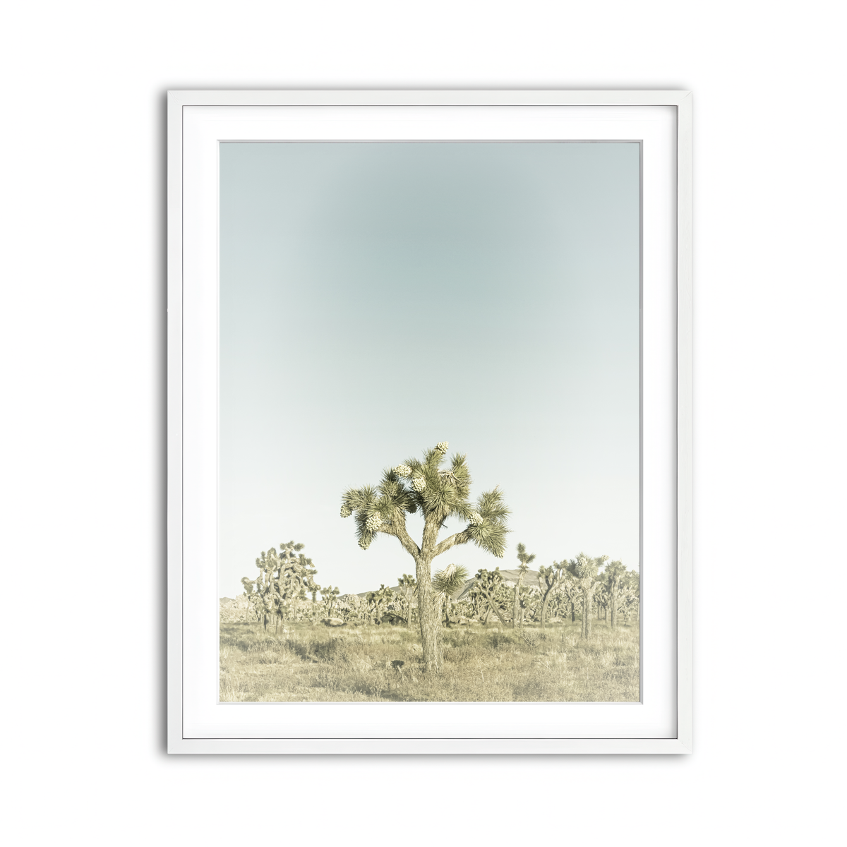 Framed Print 3x4 White