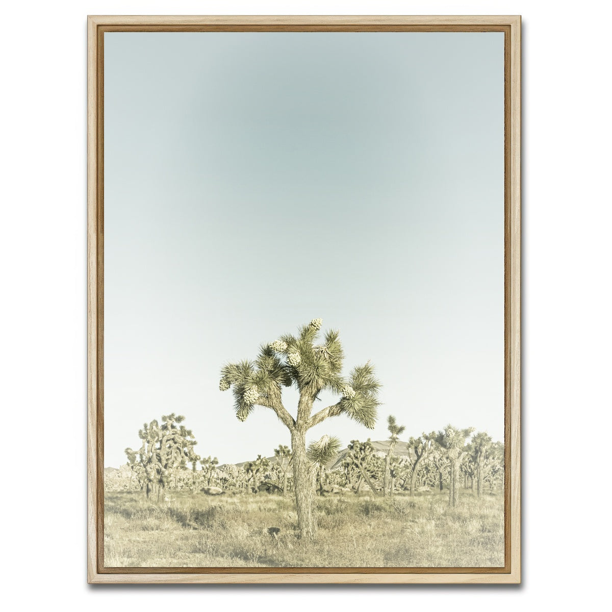 AUTO-MOCKUP WHITE | Joshua Tree National Park Sepia | 1 Piece | Natural Framed Canvas | group=3x4