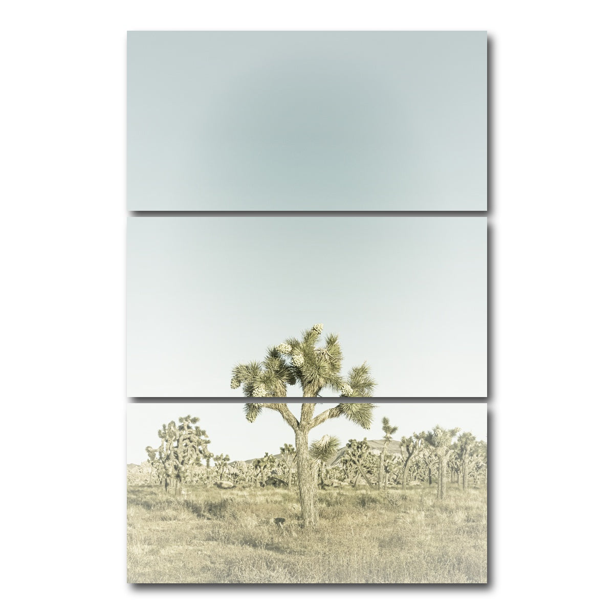 AUTO-MOCKUP WHITE | Joshua Tree National Park Sepia | 3 Piece | Gallery Wrap Canvas | group=12x24_stacked