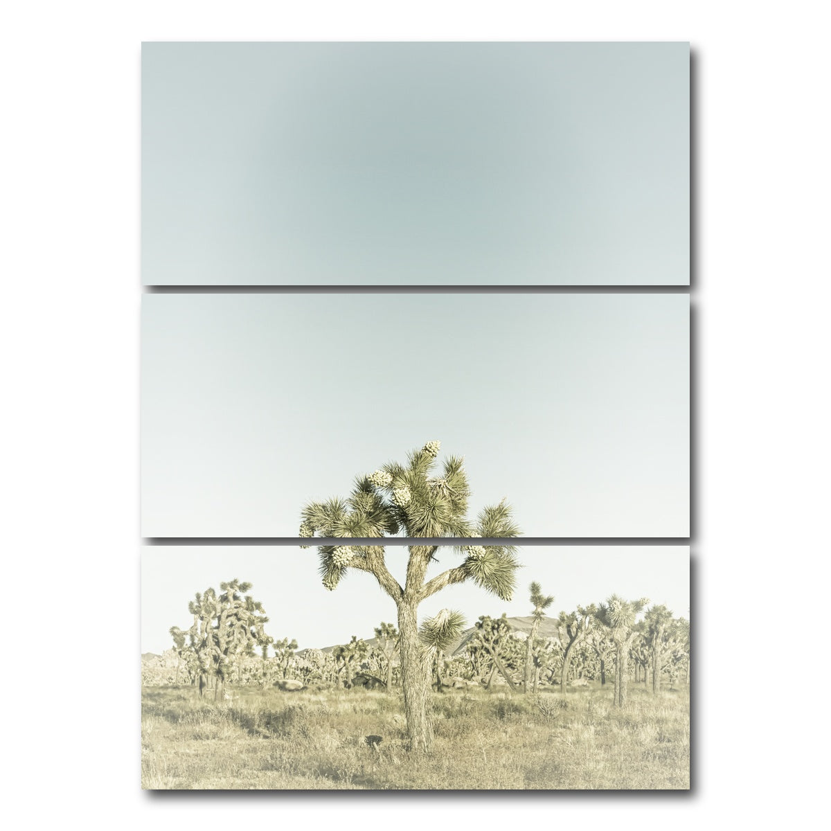 AUTO-MOCKUP WHITE | Joshua Tree National Park Sepia | 3 Piece | Gallery Wrap Canvas | group=8x18_stacked