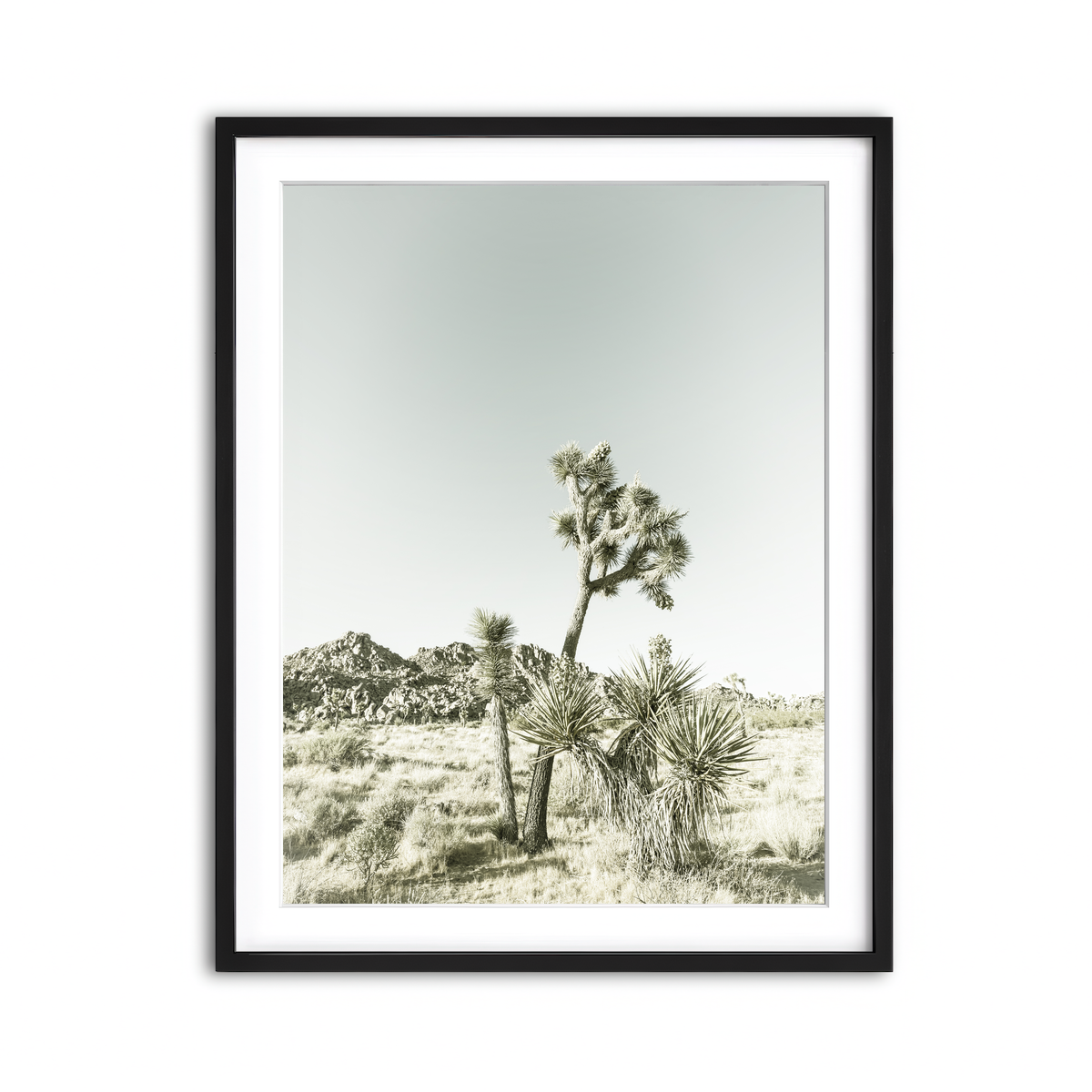 Framed Print 3x4 Black