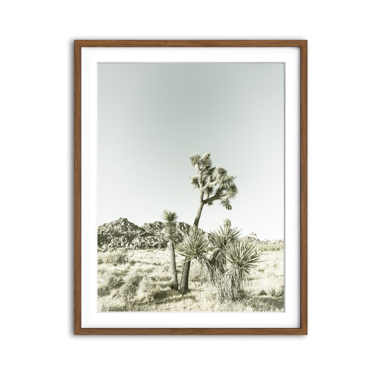 Framed Print 3x4 Walnut