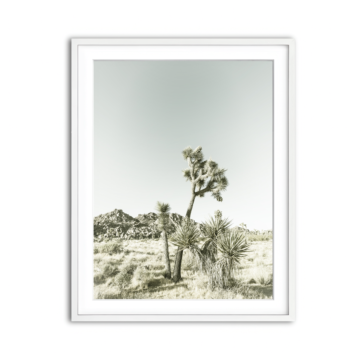 Framed Print 3x4 White