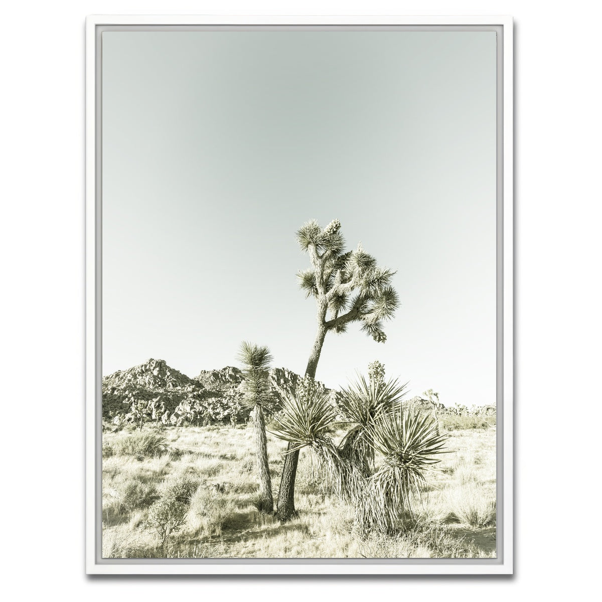 AUTO-MOCKUP WHITE | Joshua Tree National Park Vintage | 1 Piece | White Framed Canvas | group=3x4