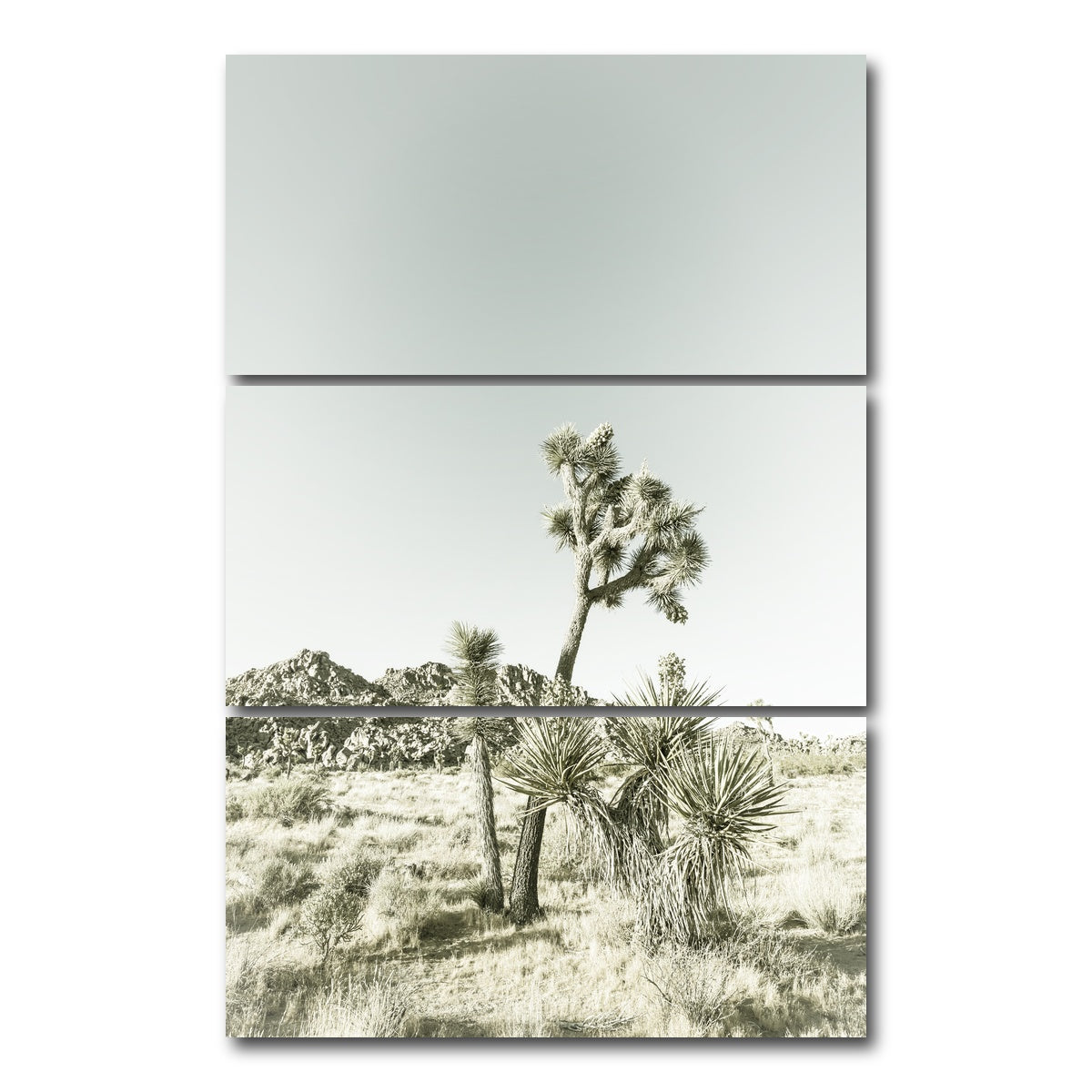 AUTO-MOCKUP WHITE | Joshua Tree National Park Vintage | 3 Piece | Gallery Wrap Canvas | group=12x24_stacked