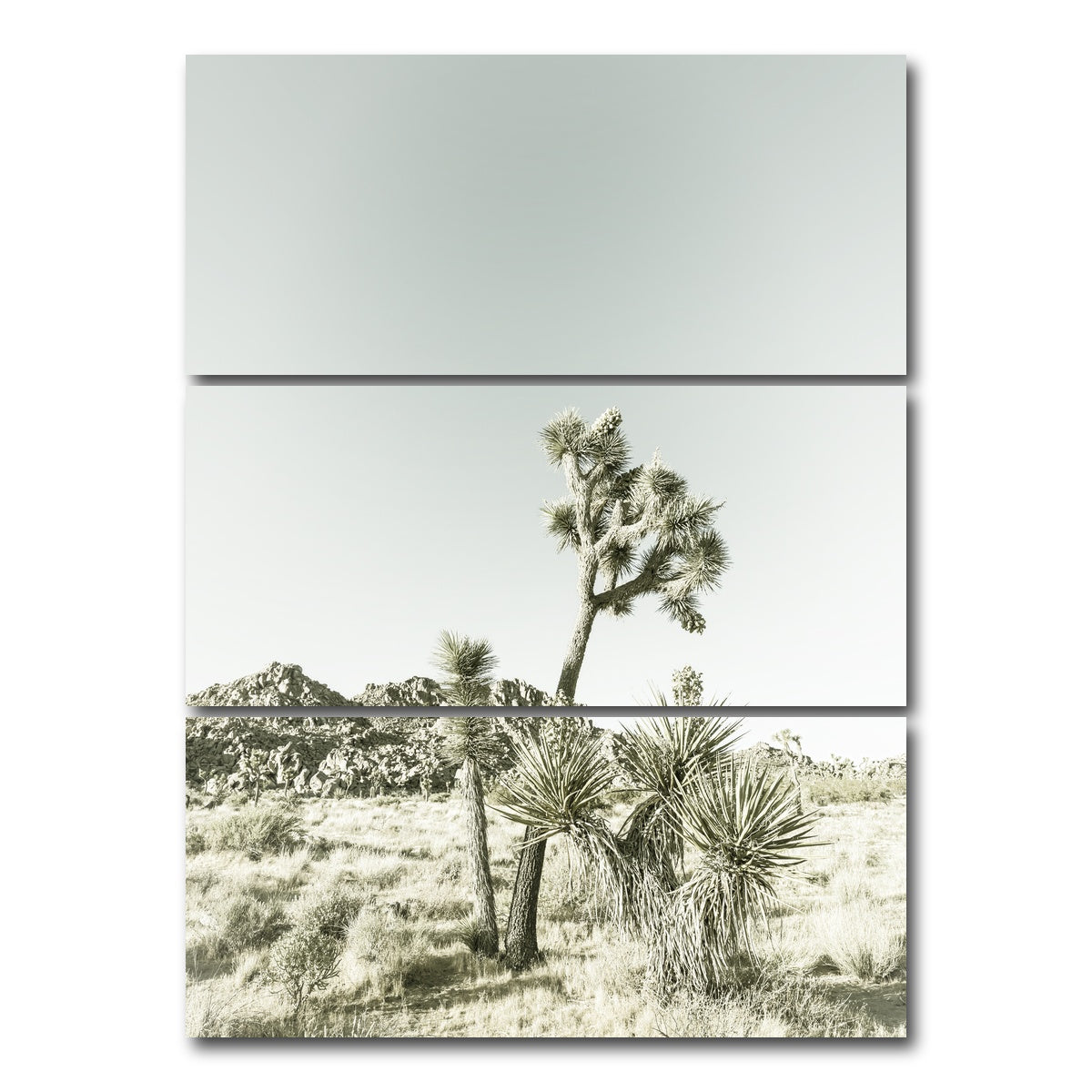 AUTO-MOCKUP WHITE | Joshua Tree National Park Vintage | 3 Piece | Gallery Wrap Canvas | group=8x18_stacked