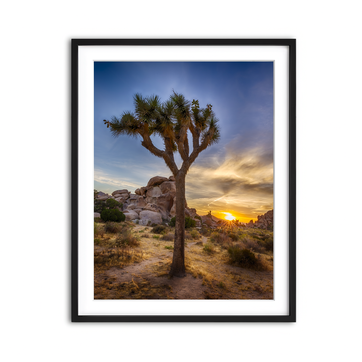 Framed Print 3x4 Black