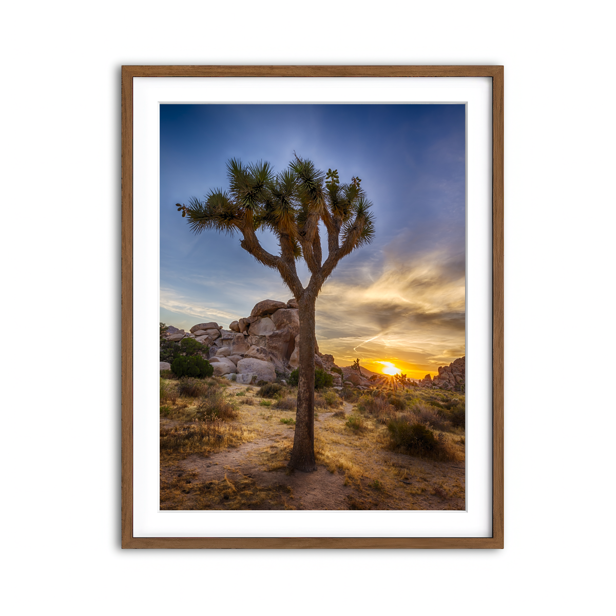 Framed Print 3x4 Walnut