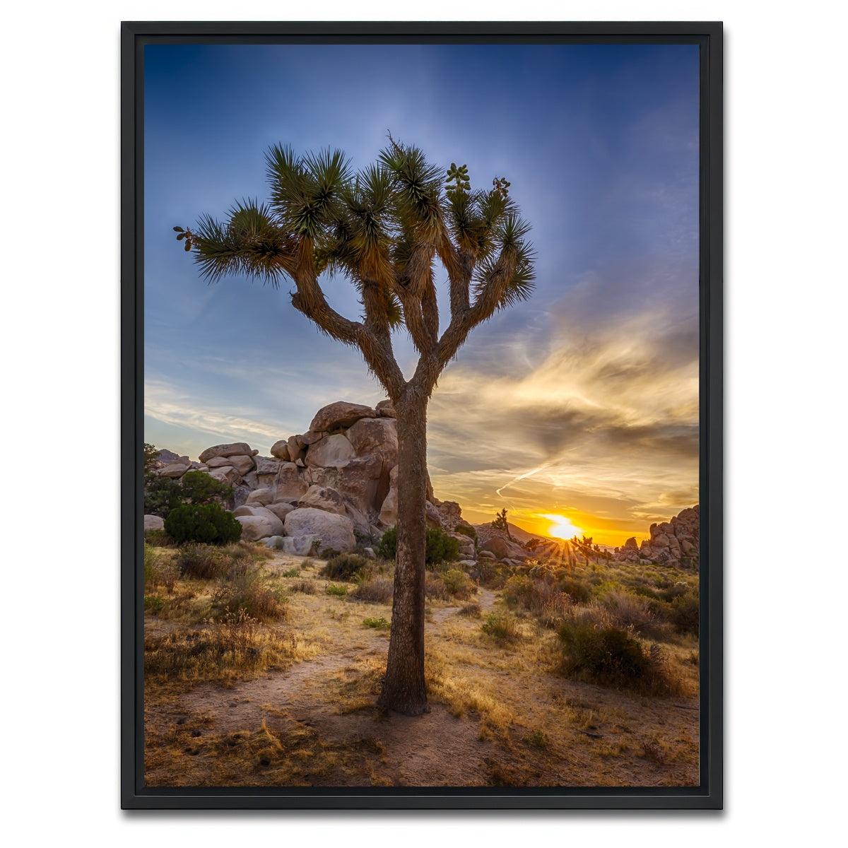 AUTO-MOCKUP WHITE | Joshua Tree National Park | 1 Piece | Black Framed Canvas | group=3x4