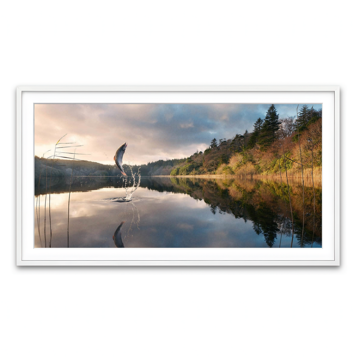 Framed Print 2x1 White