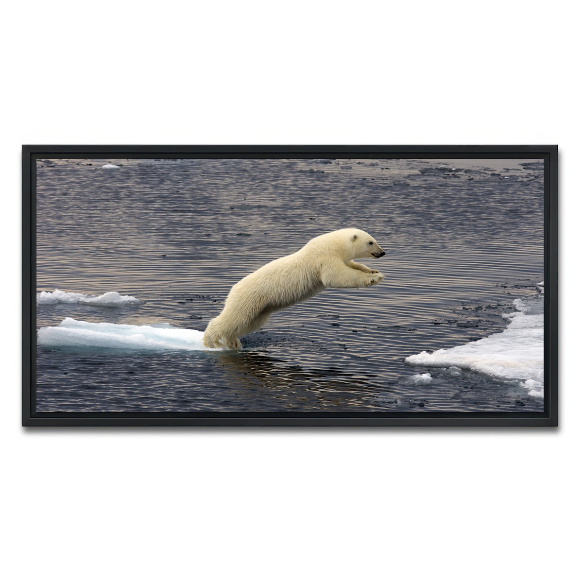 AUTO-MOCKUP WHITE | Jumping Polar bear | 1 Piece | Black Framed Canvas | group=2x1