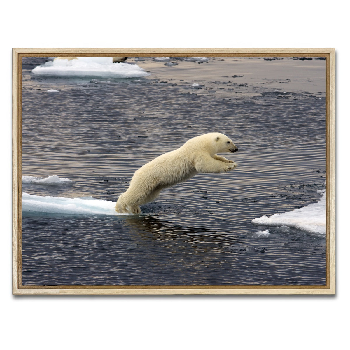 AUTO-MOCKUP WHITE | Jumping Polar bear | 1 Piece | Natural Framed Canvas | group=4x3