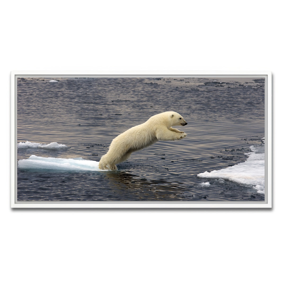 AUTO-MOCKUP WHITE | Jumping Polar bear | 1 Piece | White Framed Canvas | group=2x1
