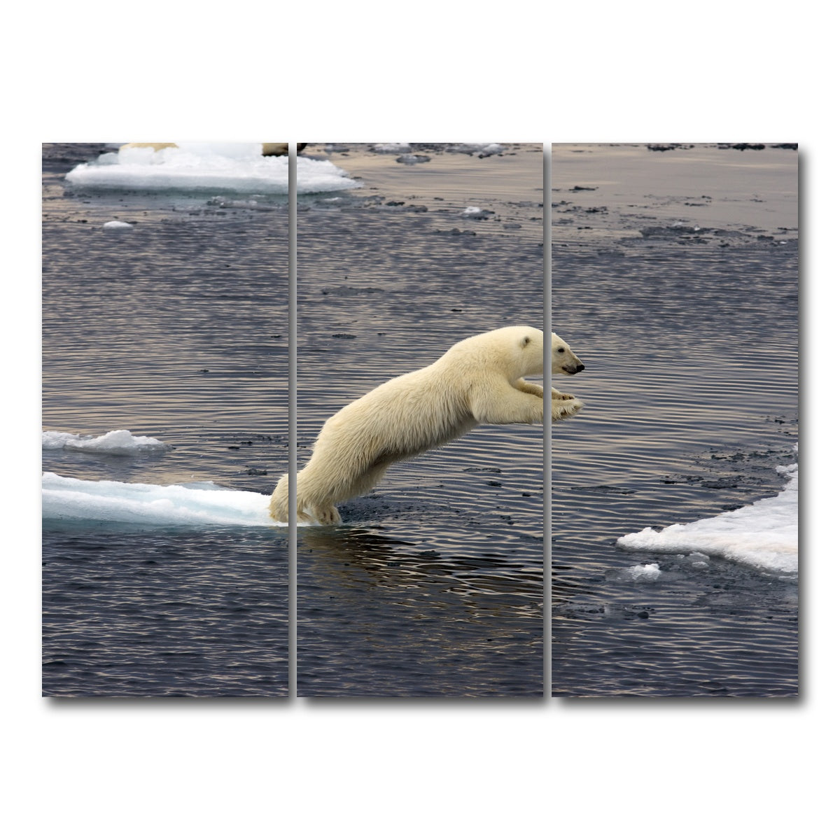 AUTO-MOCKUP WHITE | Jumping Polar bear | 3 Piece | Gallery Wrap Canvas | group=8x18
