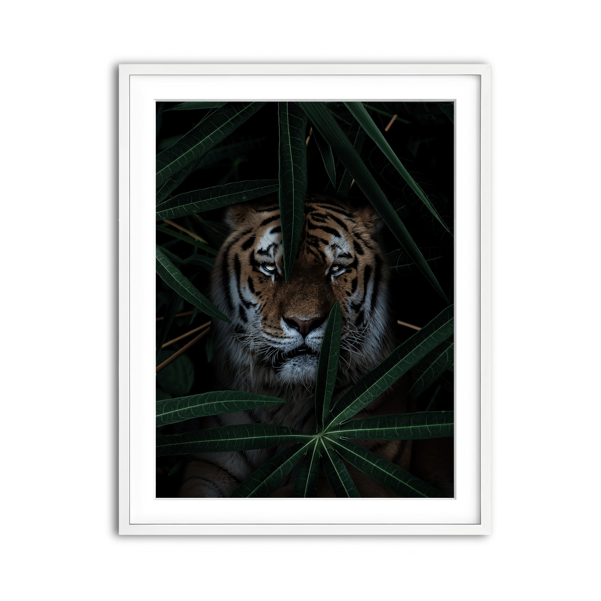Framed Print 3x4 White