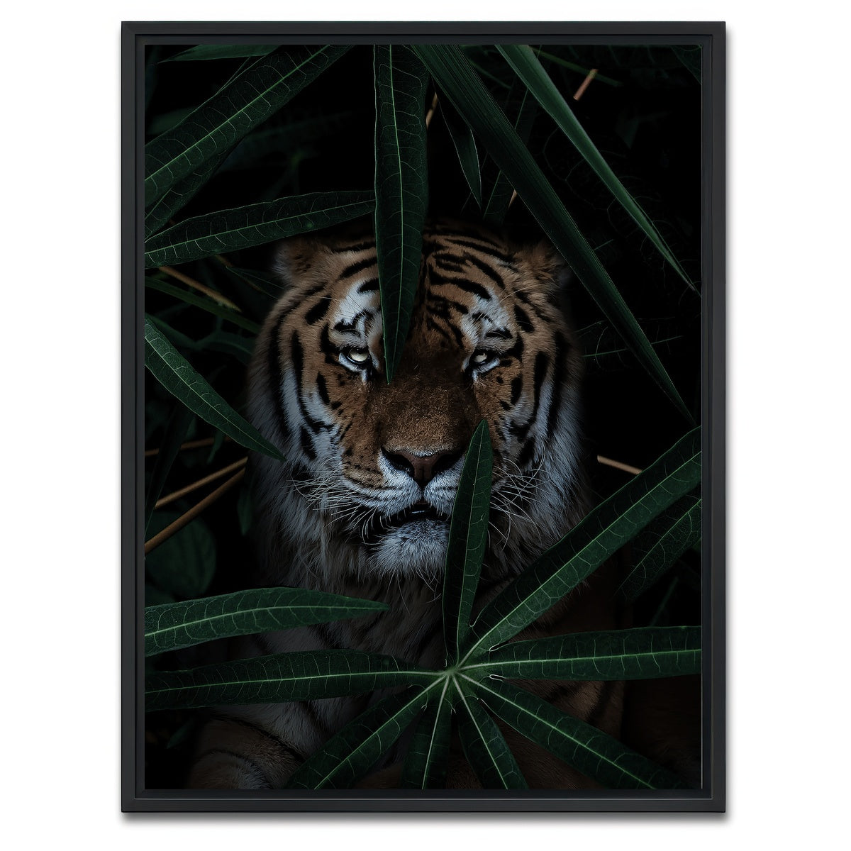 AUTO-MOCKUP WHITE | Jungle Cat | 1 Piece | Black Framed Canvas | group=3x4