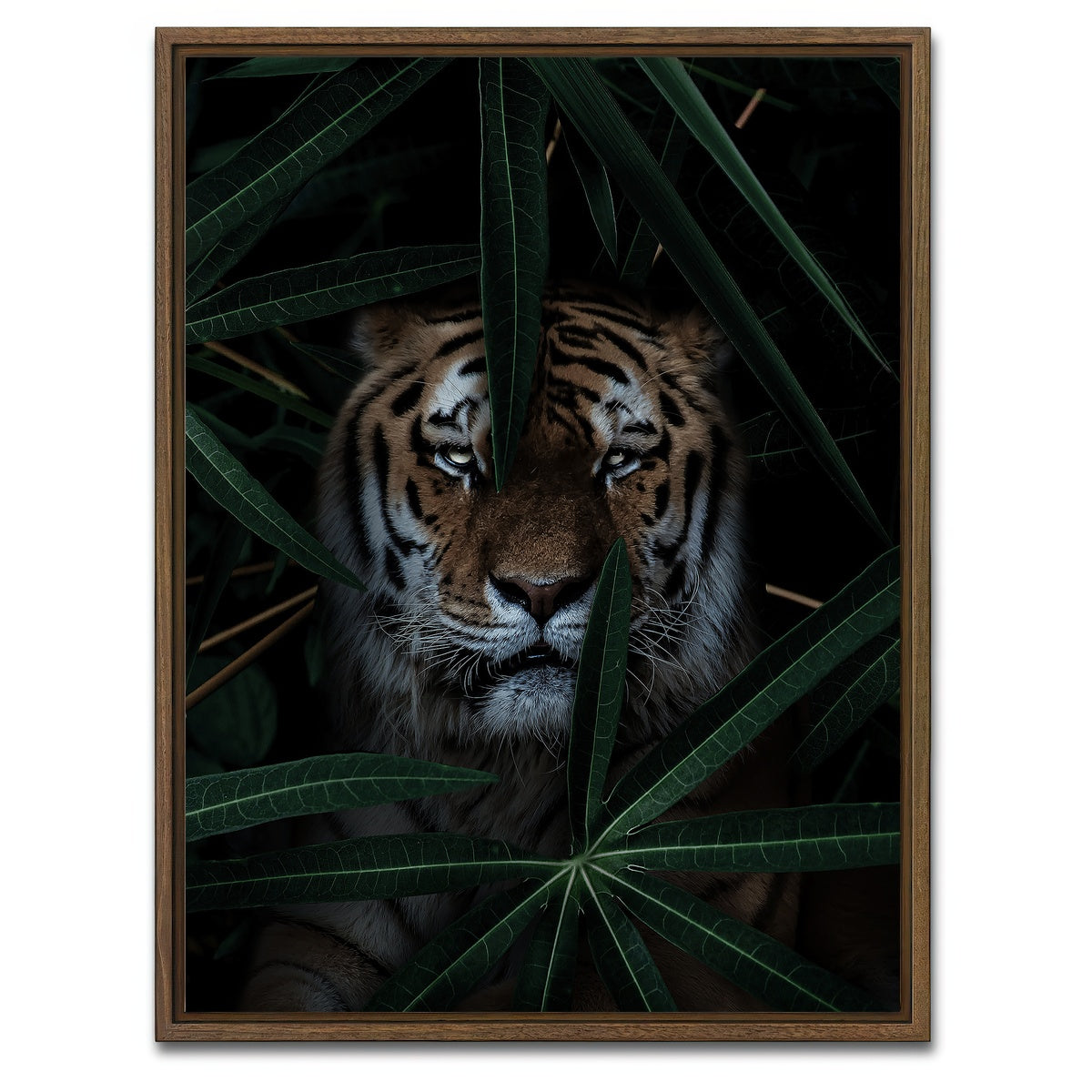 AUTO-MOCKUP WHITE | Jungle Cat | 1 Piece | Walnut Framed Canvas | group=3x4