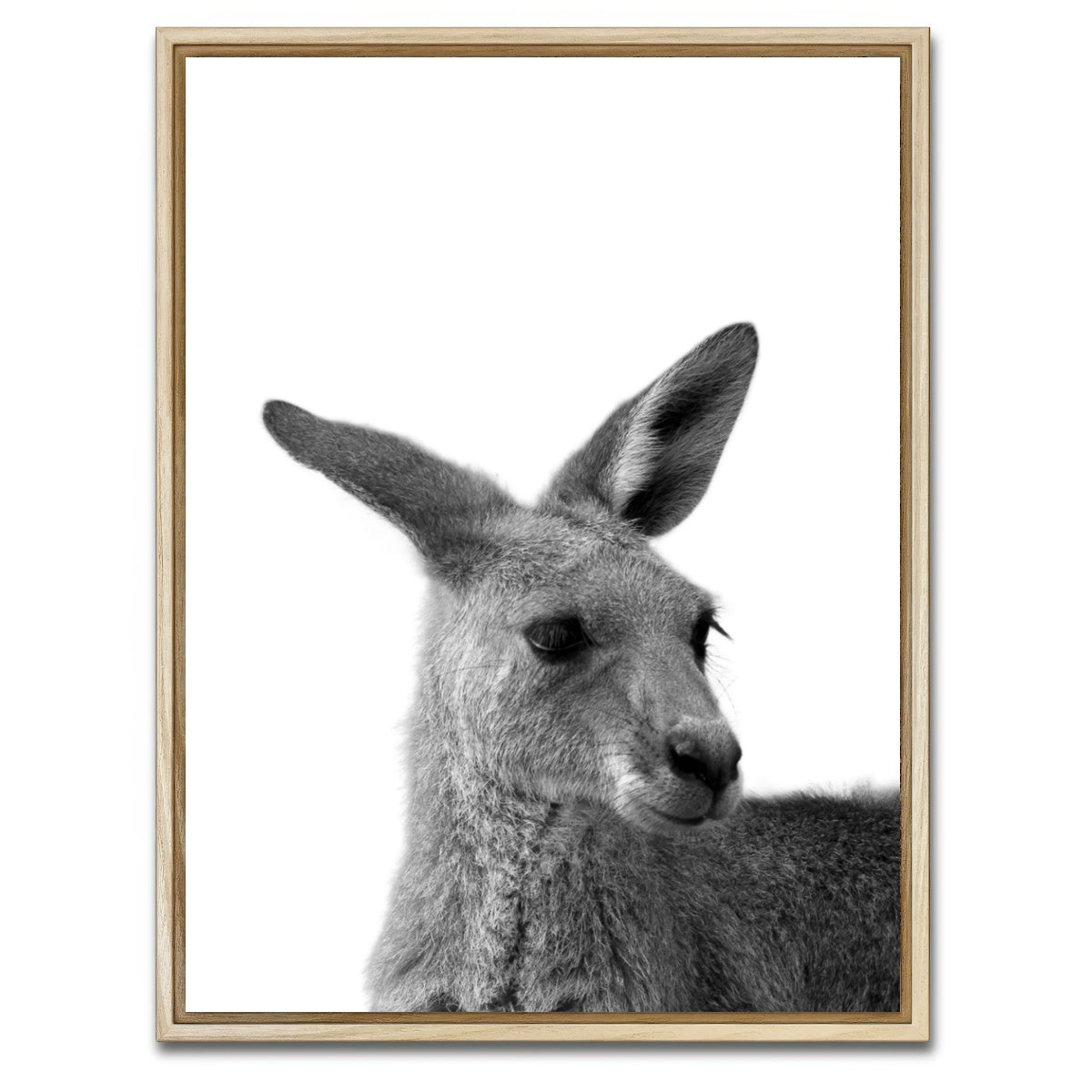 AUTO-MOCKUP WHITE | Kangaroo | 1 Piece | Natural Framed Canvas | group=3x4