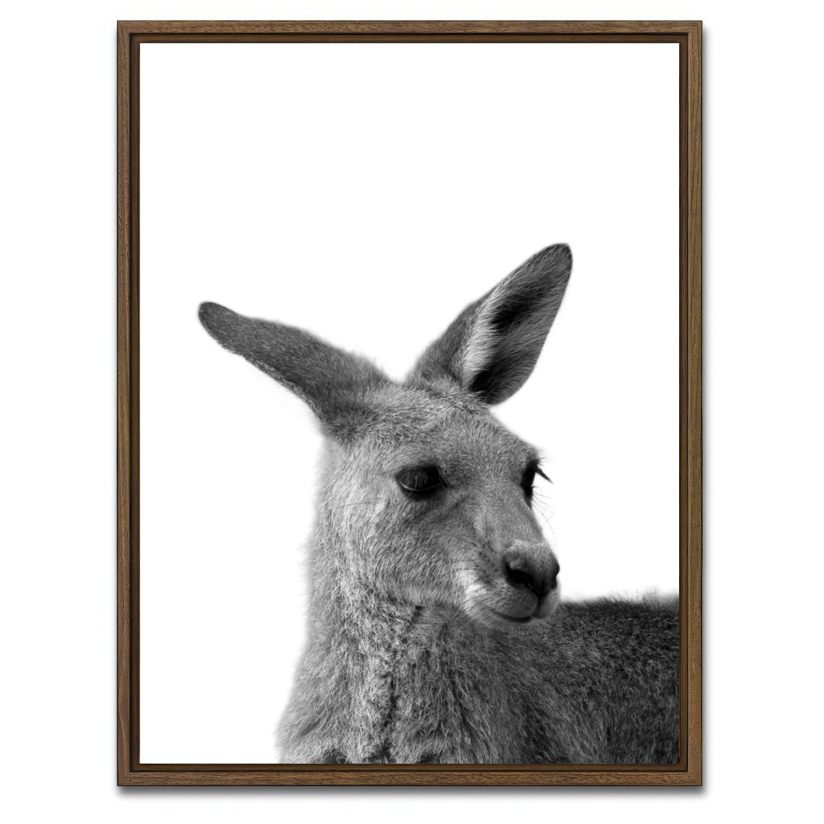 AUTO-MOCKUP WHITE | Kangaroo | 1 Piece | Walnut Framed Canvas | group=3x4