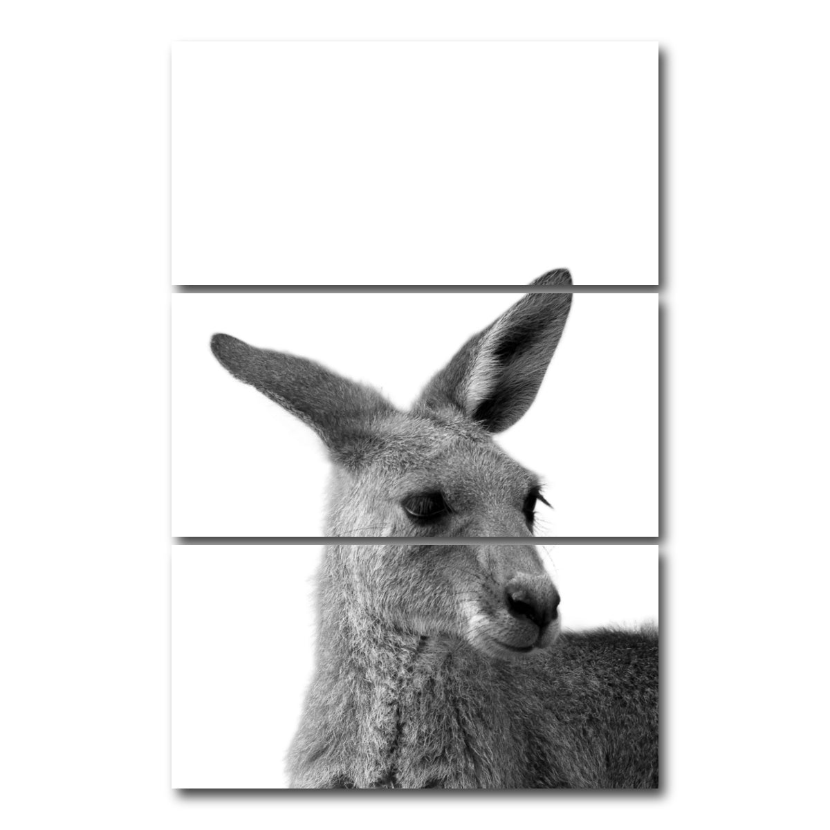 AUTO-MOCKUP WHITE | Kangaroo | 3 Piece | Gallery Wrap Canvas | group=12x24_stacked
