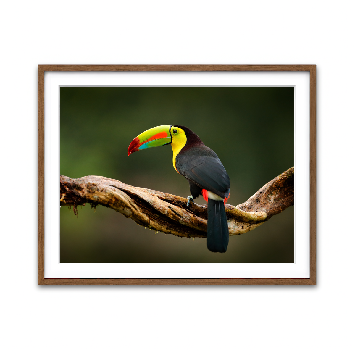 Framed Print 4x3 Walnut