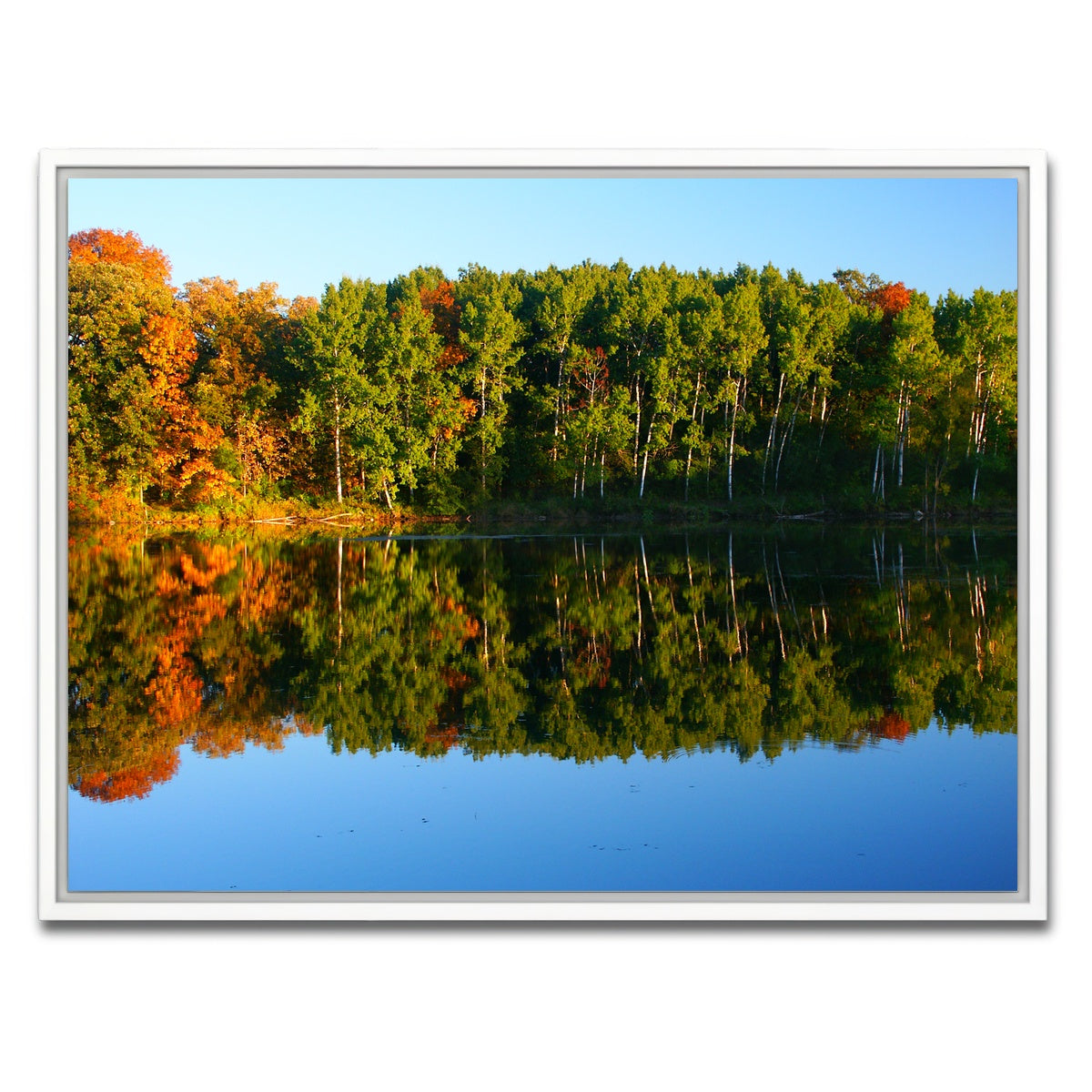 AUTO-MOCKUP WHITE | Kettle Moraine State Forest | 1 Piece | White Framed Canvas | group=4x3