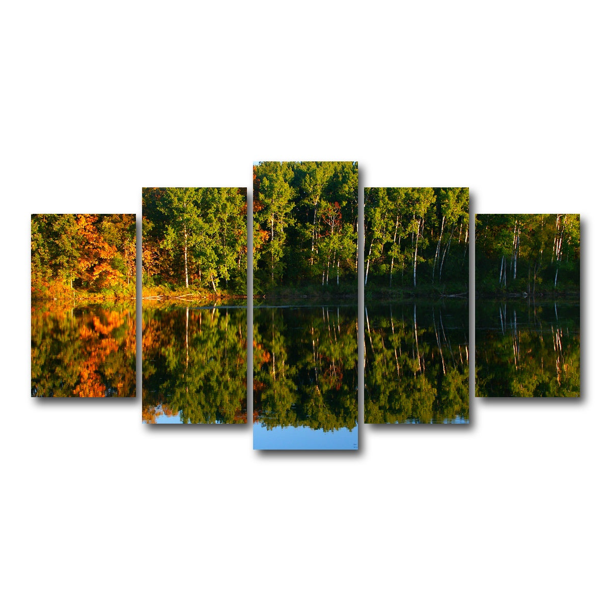 AUTO-MOCKUP WHITE | Kettle Moraine State Forest | 5 Piece | Gallery Wrap Canvas | group=5_normal