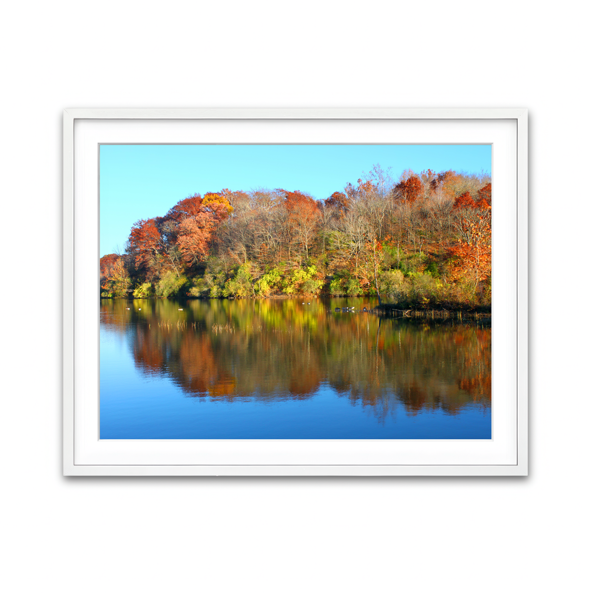 Framed Print 4x3 White