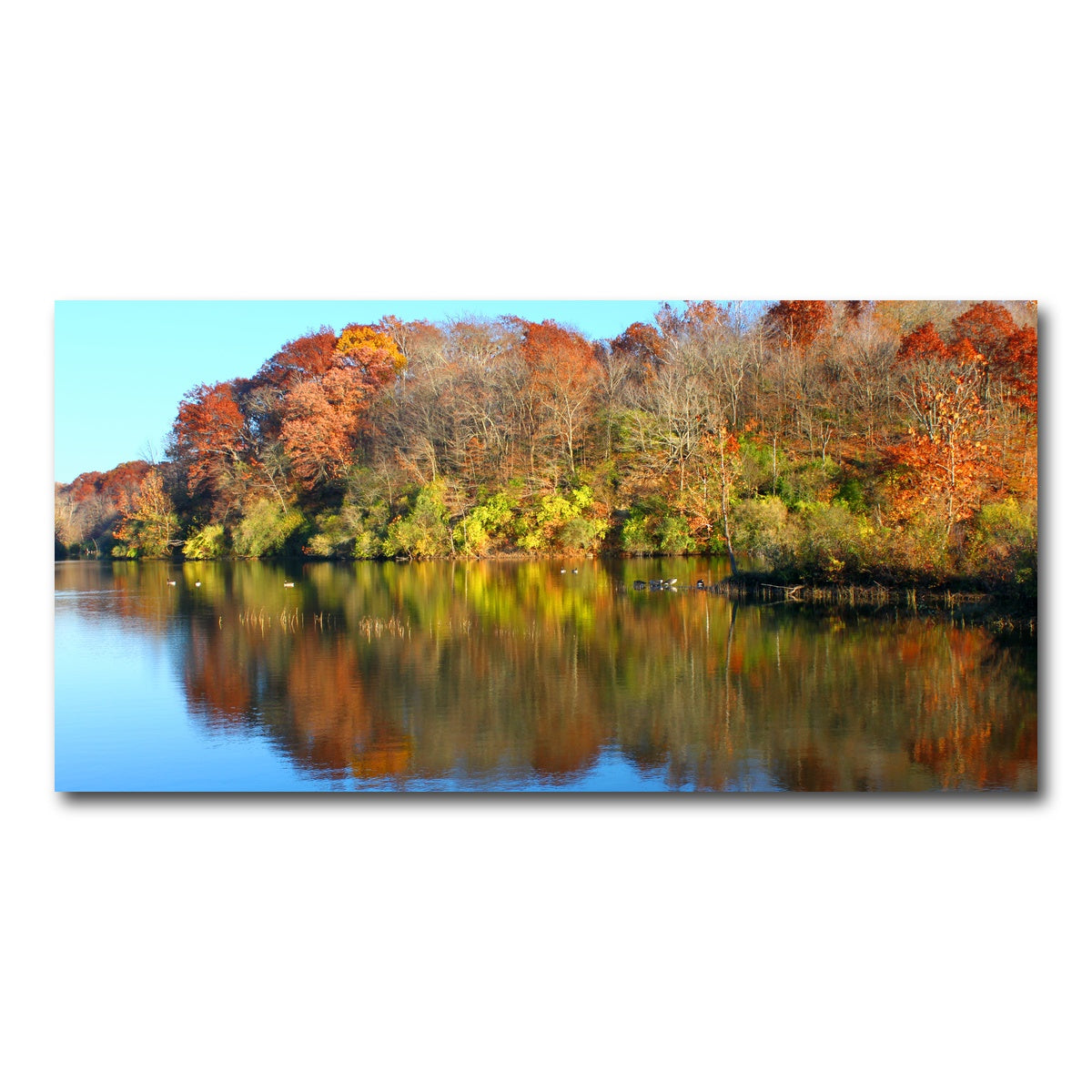 AUTO-MOCKUP WHITE | Kickapoo State Park | 1 Piece | Gallery Wrap Canvas | group=2x1