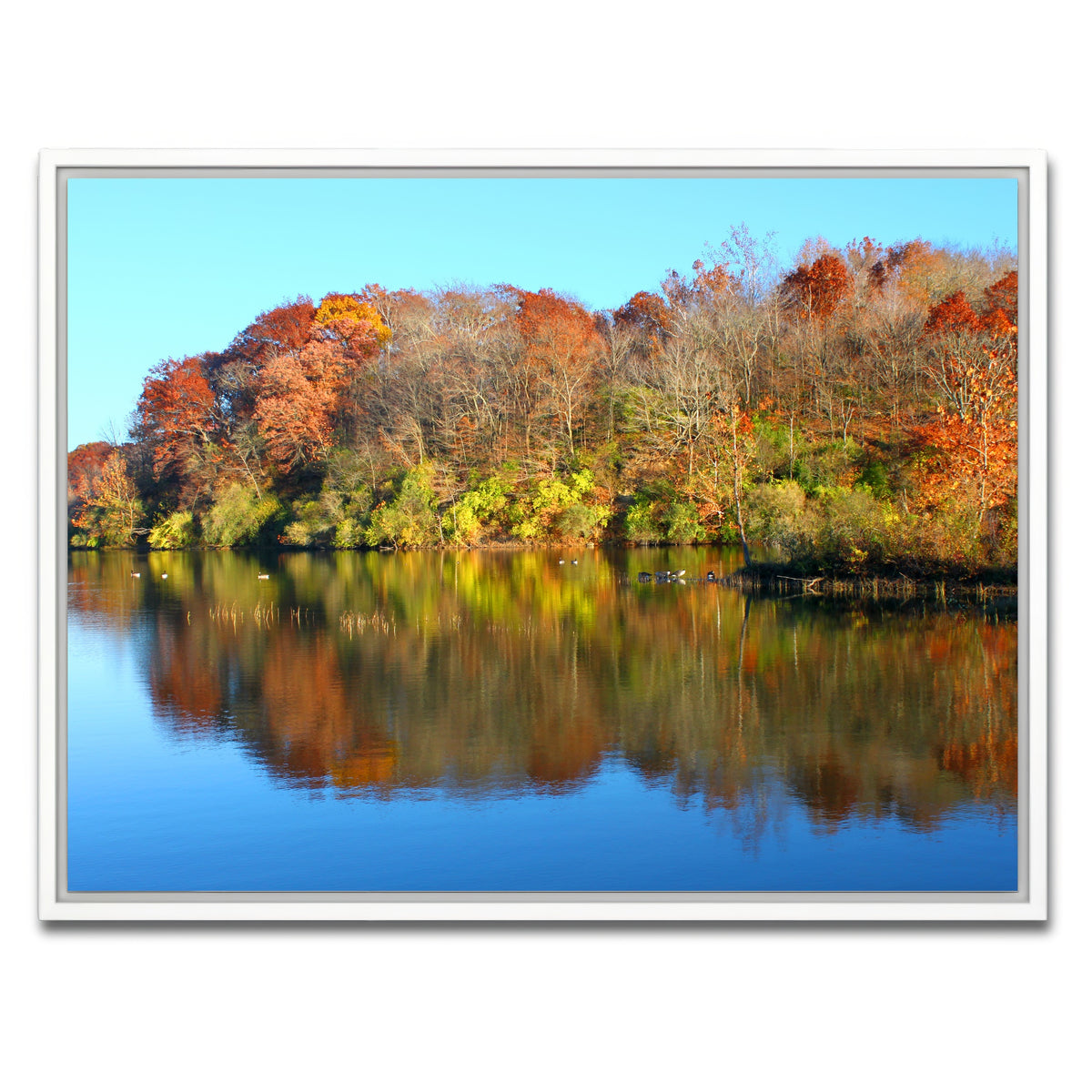 AUTO-MOCKUP WHITE | Kickapoo State Park | 1 Piece | White Framed Canvas | group=4x3