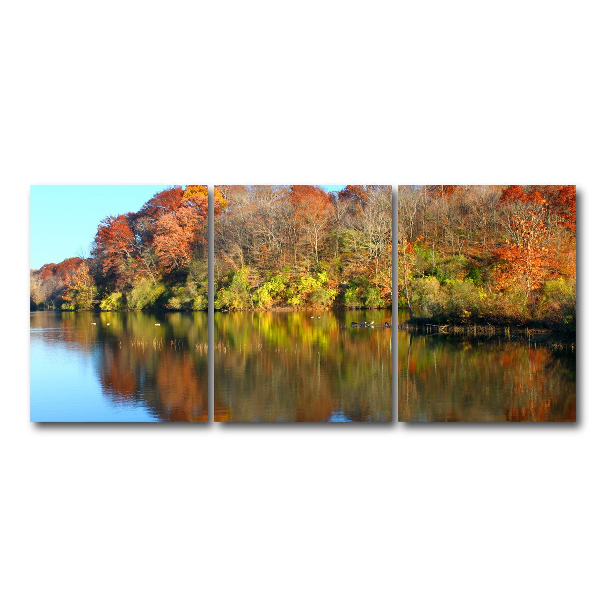 AUTO-MOCKUP WHITE | Kickapoo State Park | 3 Piece | Gallery Wrap Canvas | group=18x24