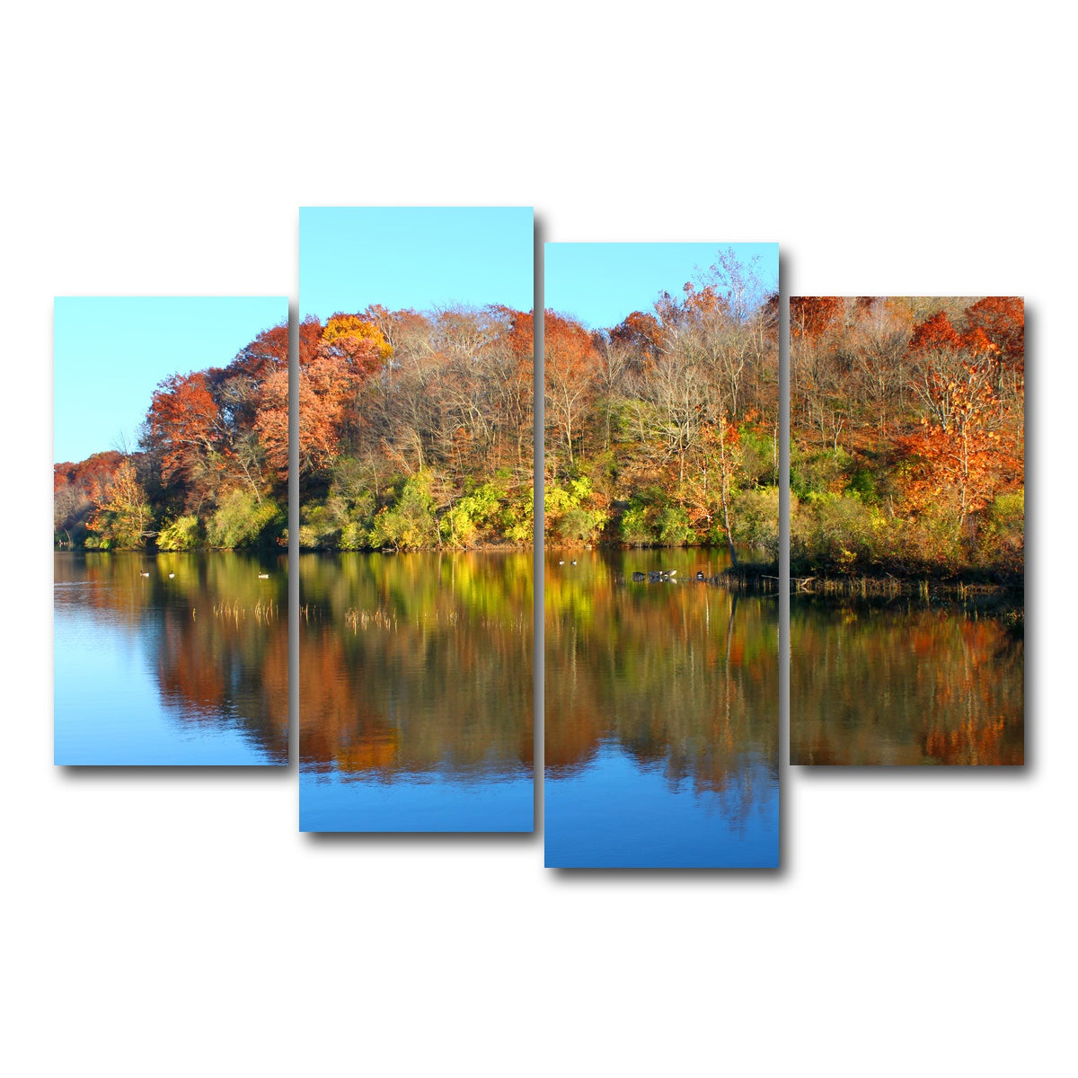 AUTO-MOCKUP WHITE | Kickapoo State Park | 4 Piece | Gallery Wrap Canvas | group=4_short