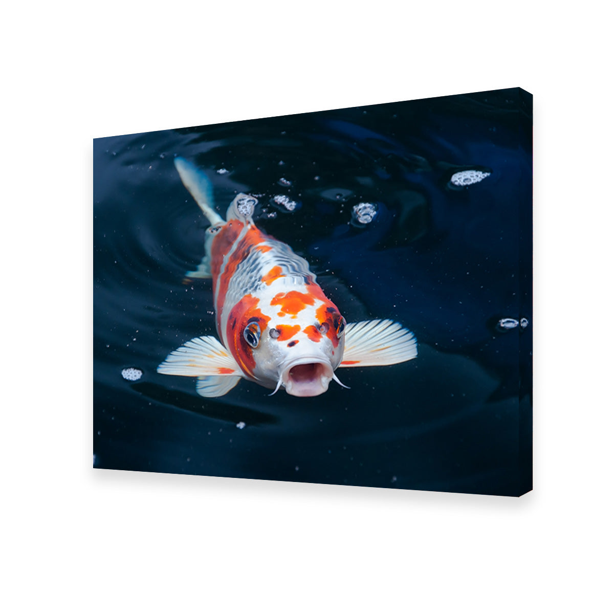 Koi Wall Art