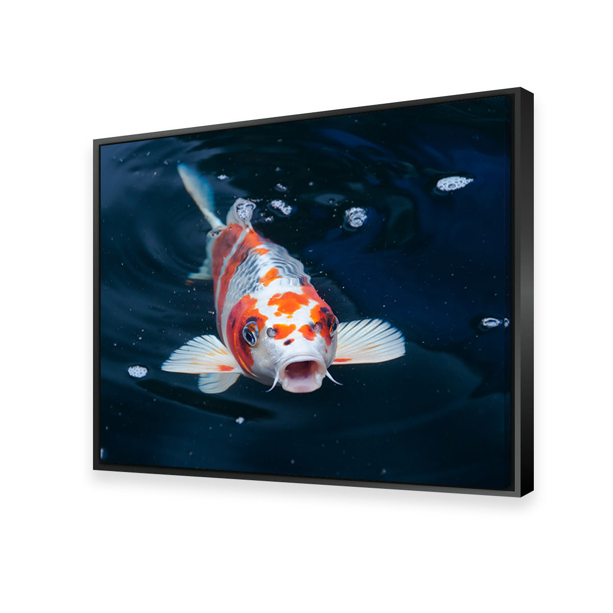 Koi Wall Art