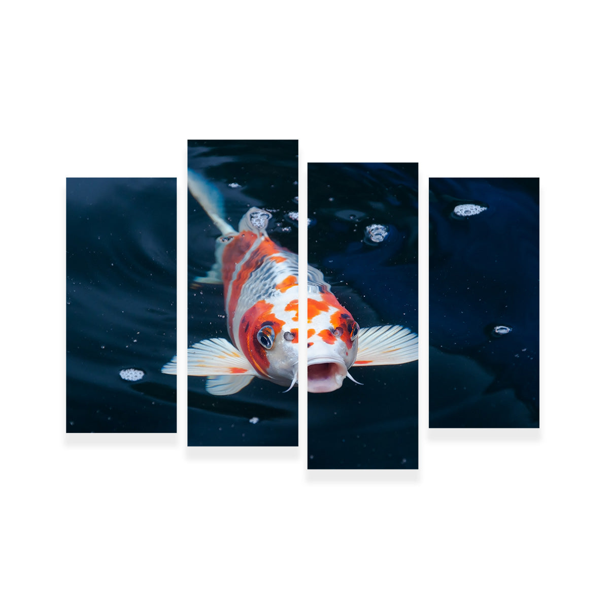 Koi Wall Art