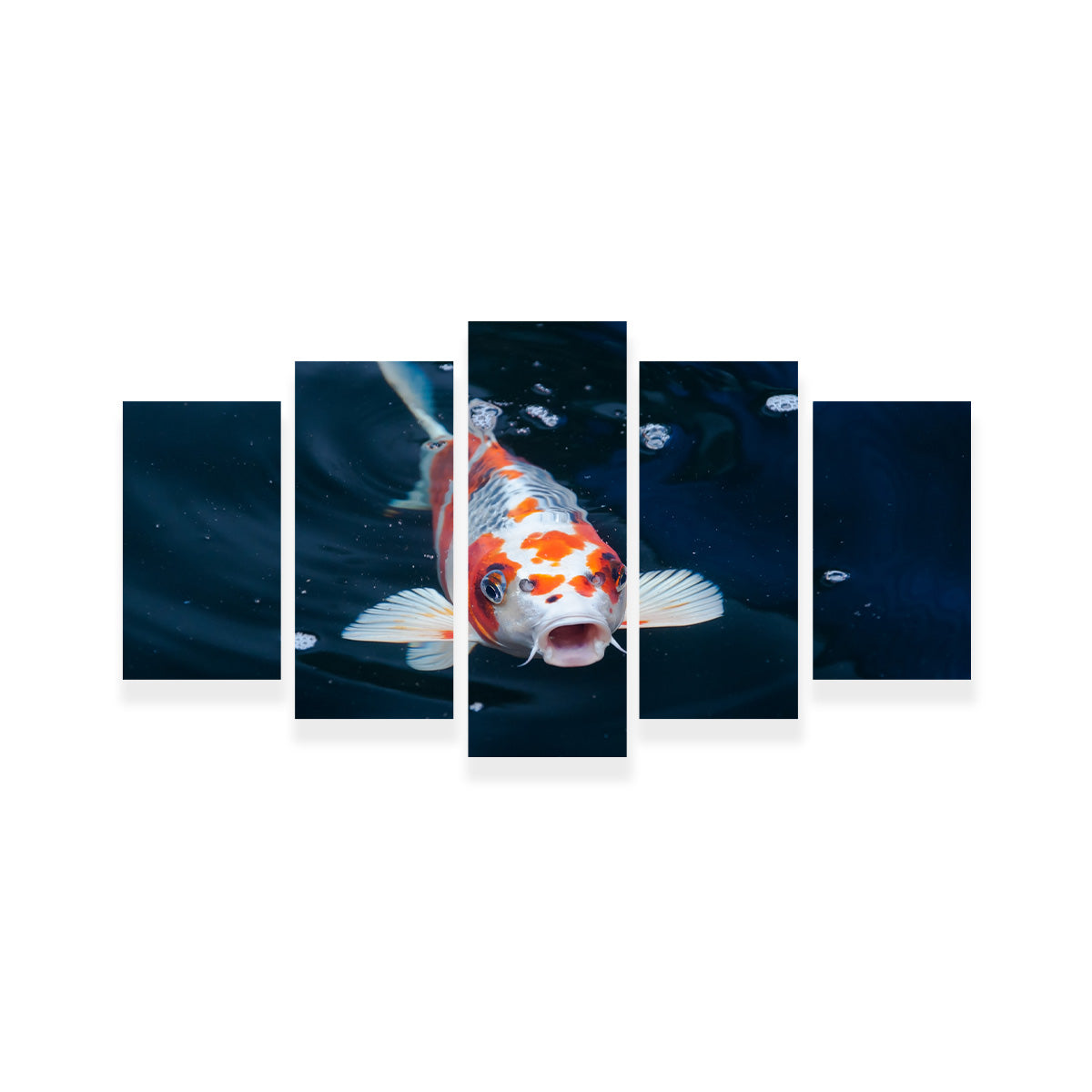 Koi Wall Art