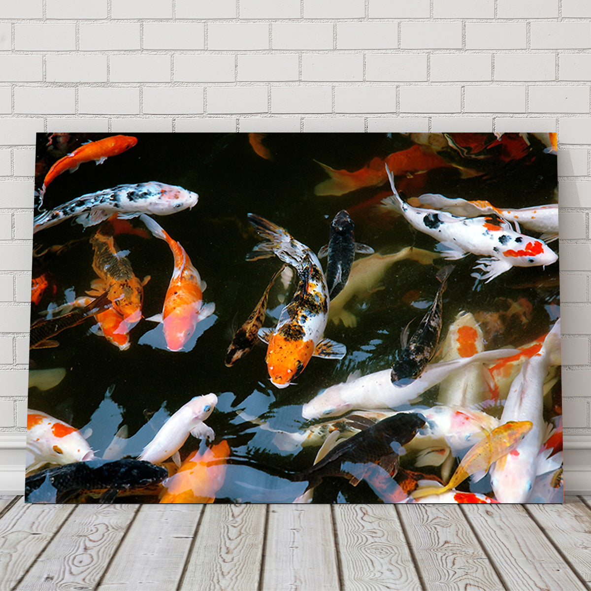 Koi Fish Swimming Wall Art
