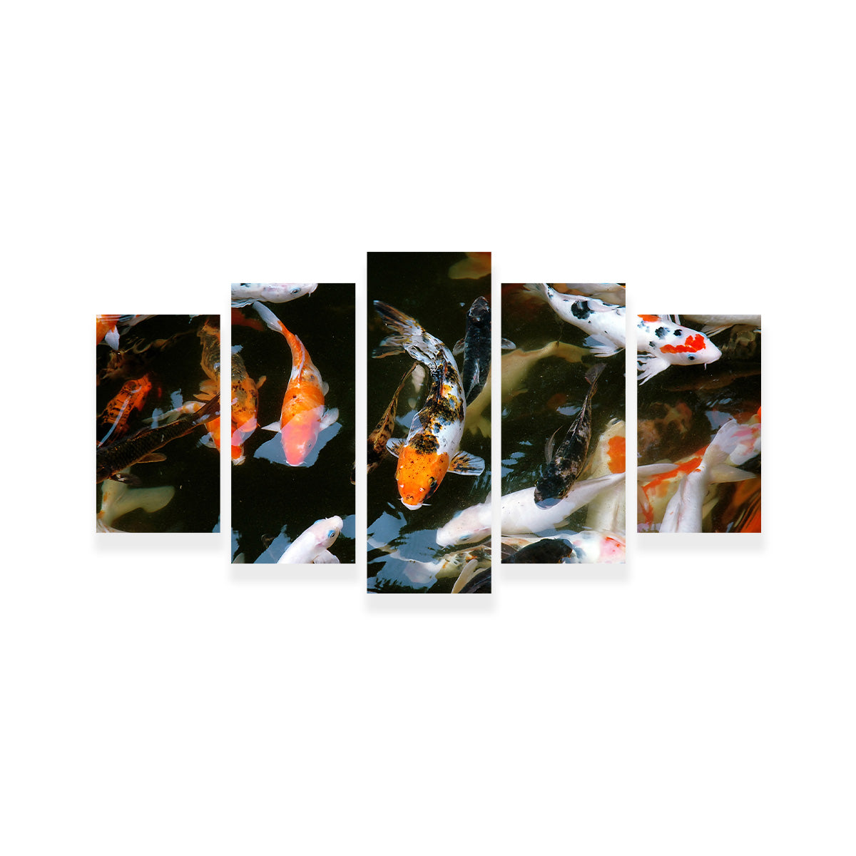 Koi Fish Swimming Wall Art