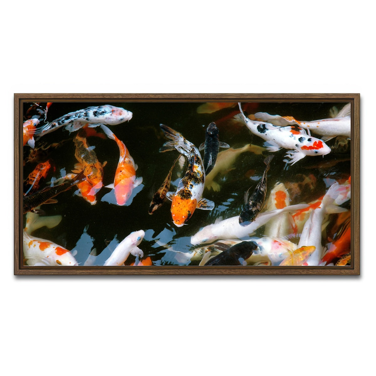 AUTO-MOCKUP WHITE | Koi Fish Swimming | 1 Piece | Walnut Framed Canvas | group=2x1