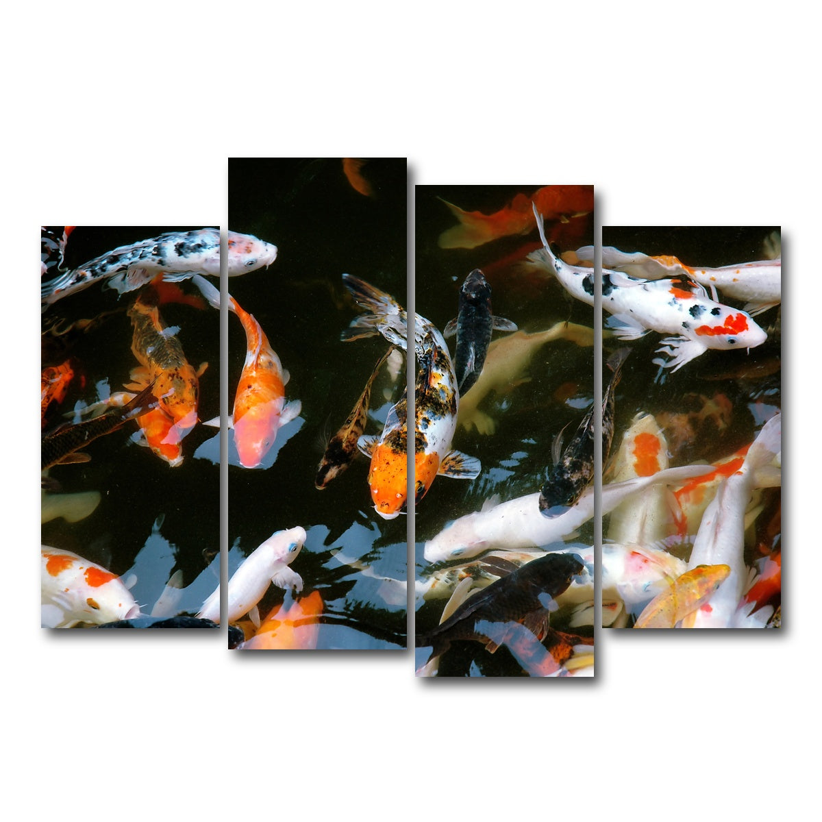 AUTO-MOCKUP WHITE | Koi Fish Swimming | 4 Piece | Gallery Wrap Canvas | group=4_normal