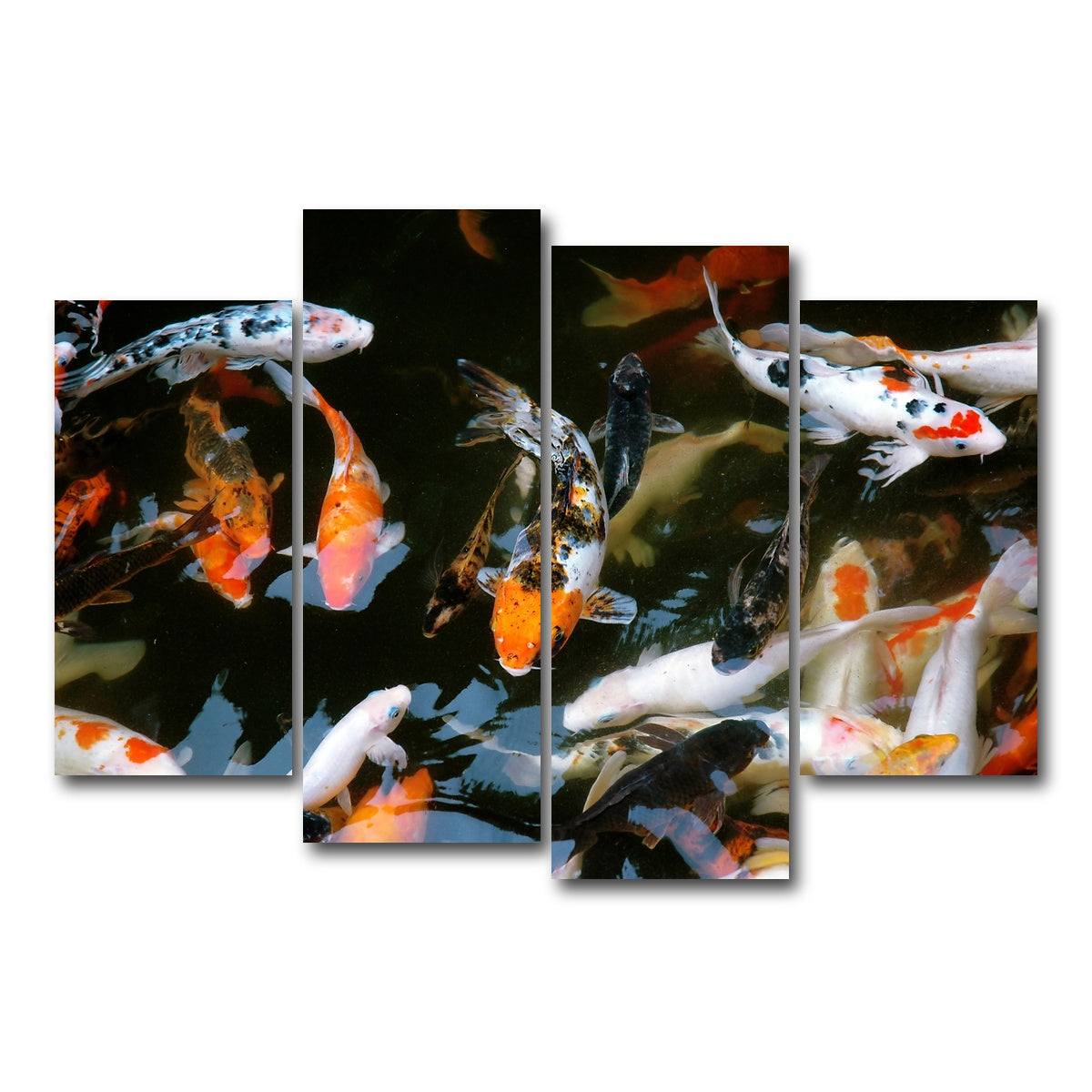 AUTO-MOCKUP WHITE | Koi Fish Swimming | 4 Piece | Gallery Wrap Canvas | group=4_short