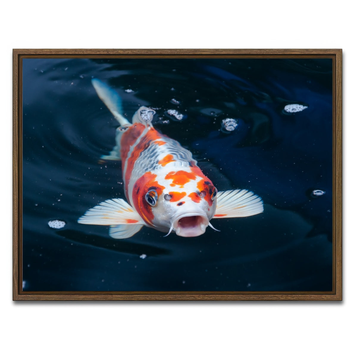AUTO-MOCKUP WHITE | Koi | 1 Piece | Walnut Framed Canvas | group=4x3