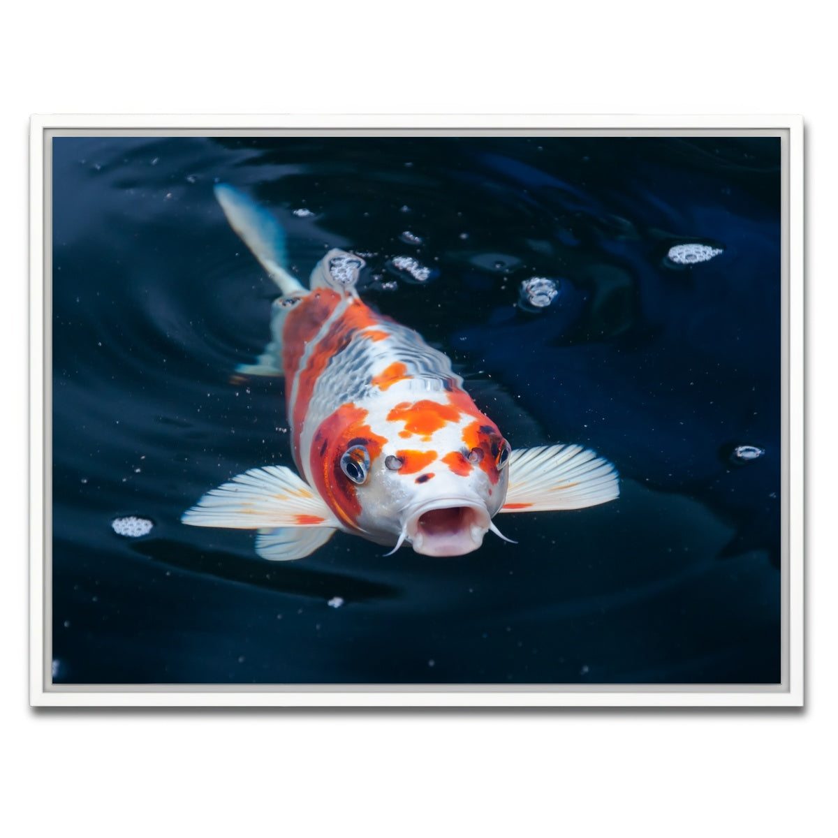 AUTO-MOCKUP WHITE | Koi | 1 Piece | White Framed Canvas | group=4x3