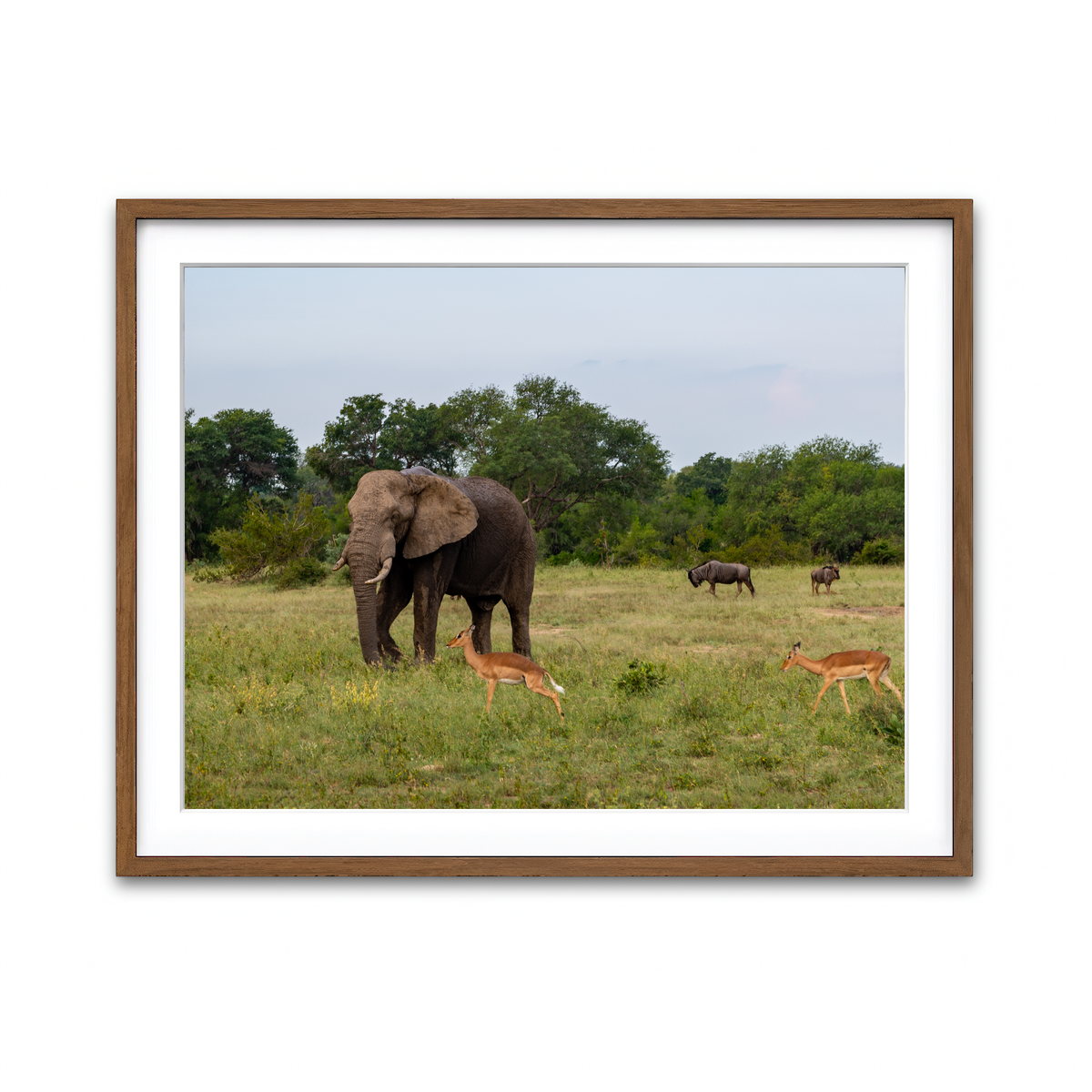 Framed Print 4x3 Walnut