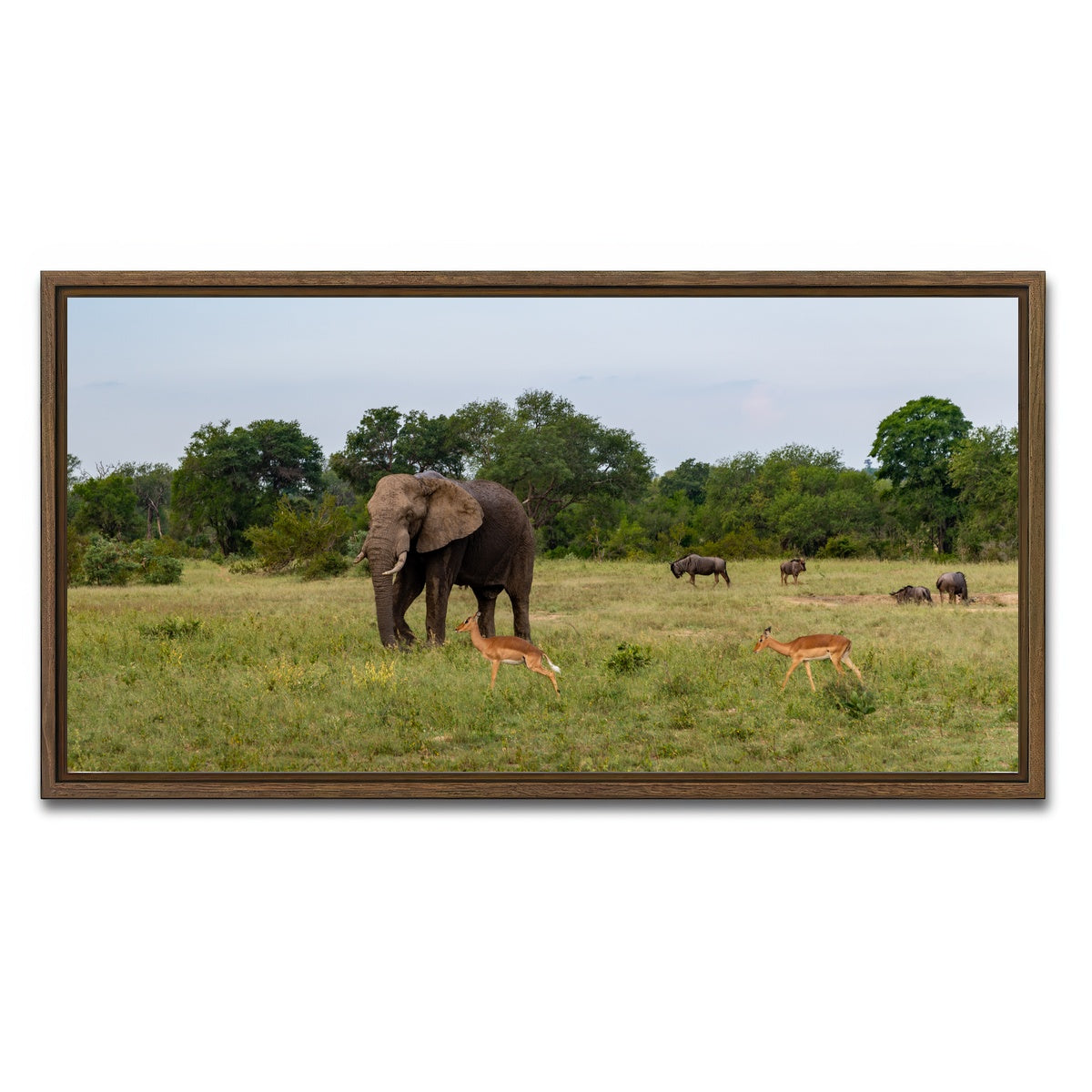 AUTO-MOCKUP WHITE | Kruger National Park | 1 Piece | Walnut Framed Canvas | group=2x1